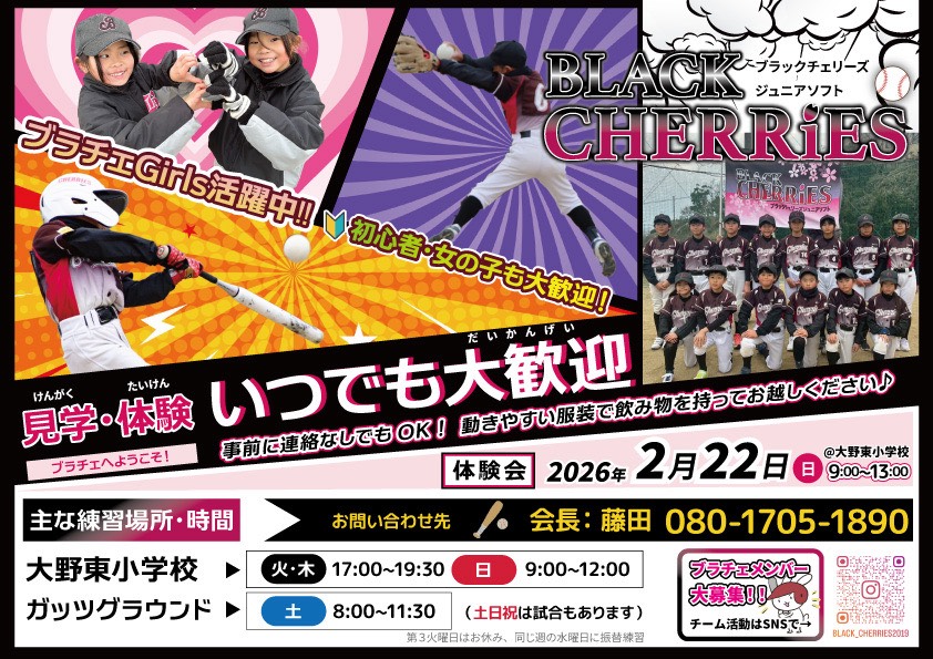 チームイメージ