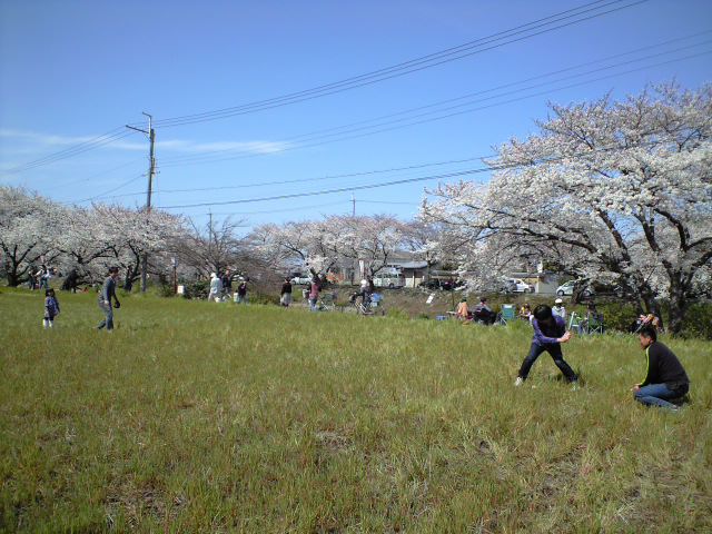 花見