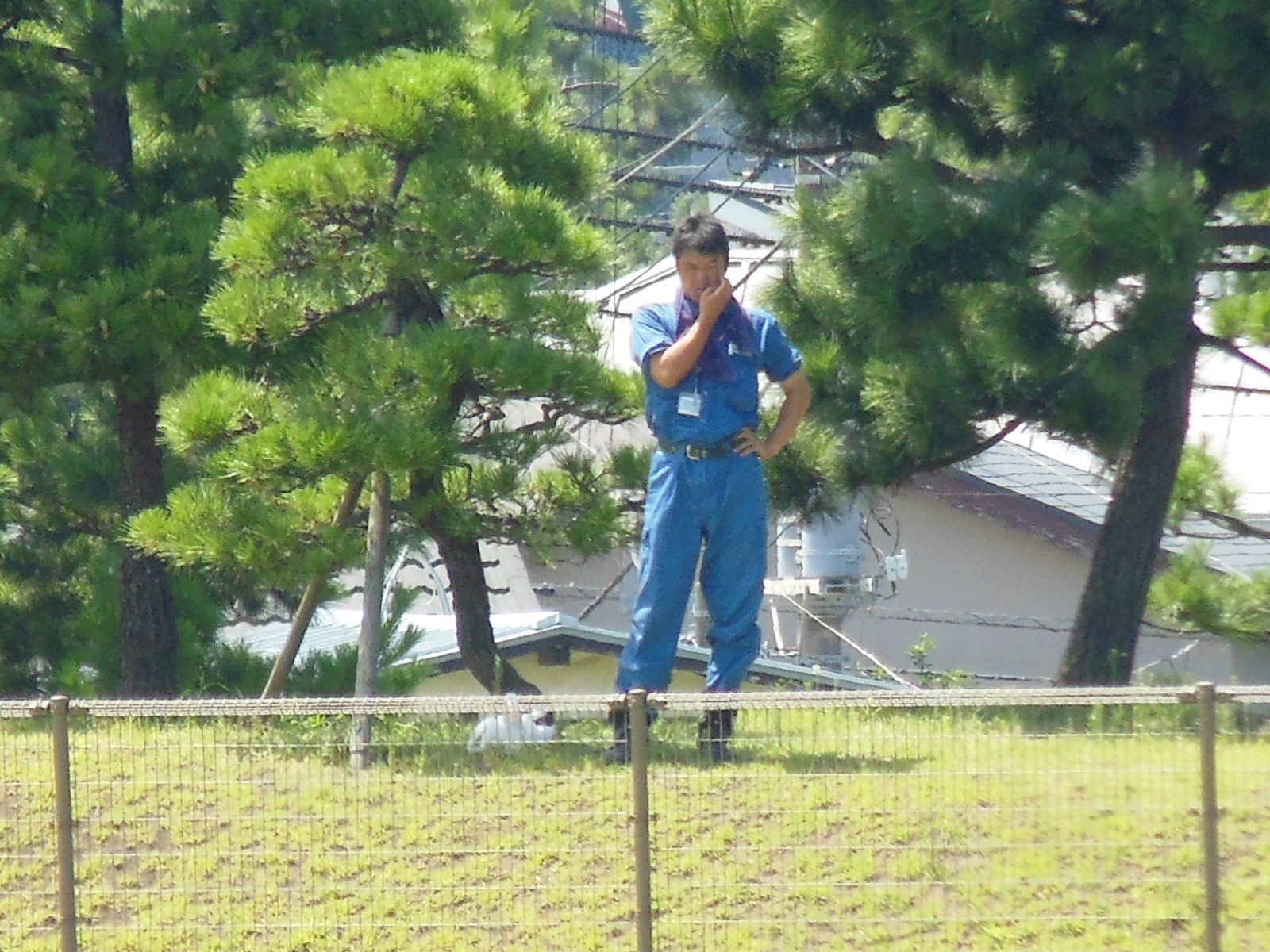 試合中の風景