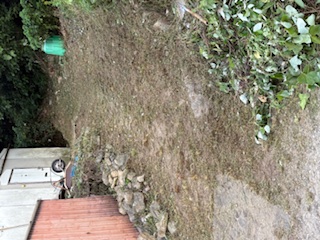 認知の段階